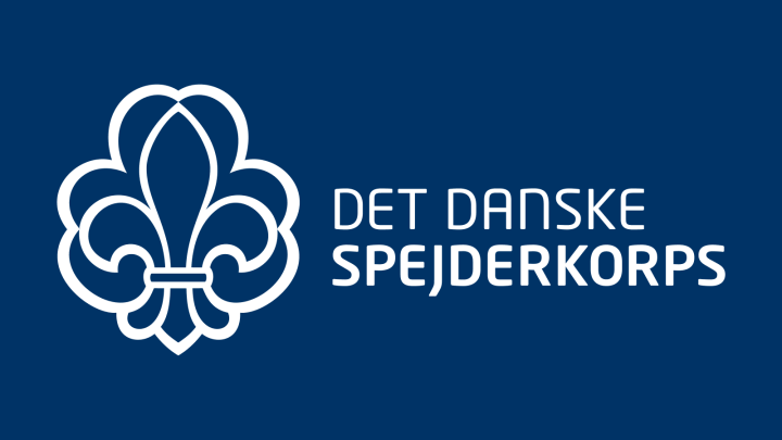 DDS-logo